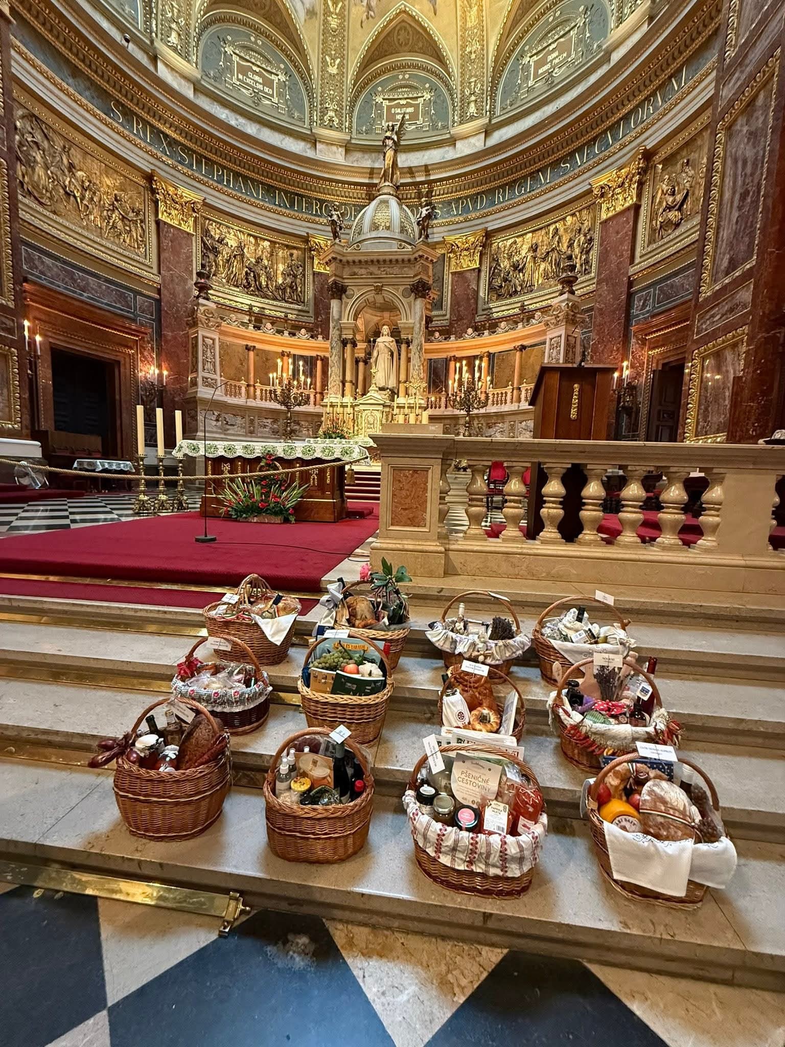 548384709_3343411185797117_1775345891459624467_n